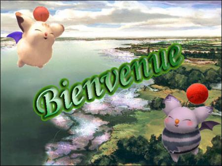 Bienvenue !!