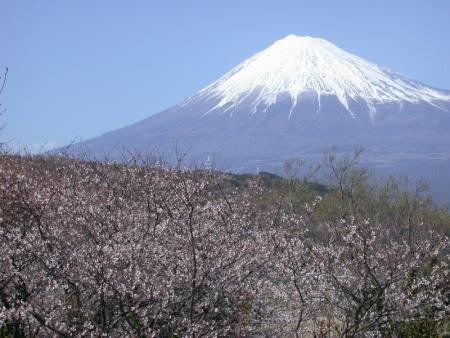 mont Fuji